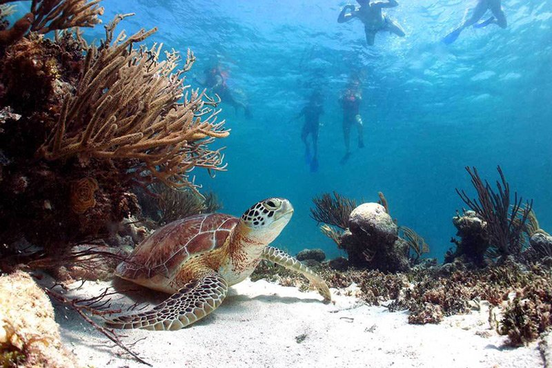 Zona Arqueológica de Tulum